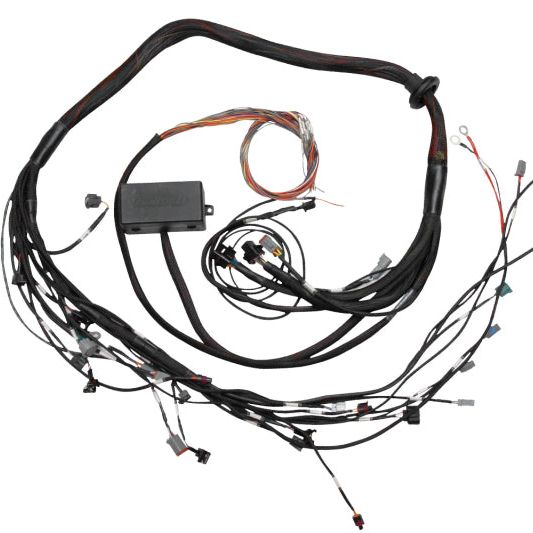 Haltech HT-130318 - HALHT-130318 - Haltech Elite 2000/2500 Terminated Engine Harness - Shipped in Europe - Tuningsupply.com