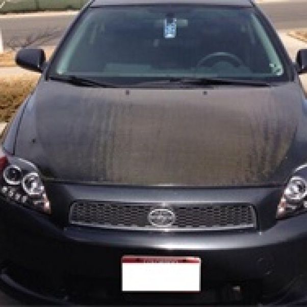 SPYDER 5073303 - SPY5073303 - Spyder Scion TC 08-10 Projector Headlights LED Halo -Replaceable LEDs Blk PRO-YD-TTC08-HL-BK - Shipped in Europe - Tuningsupply.com