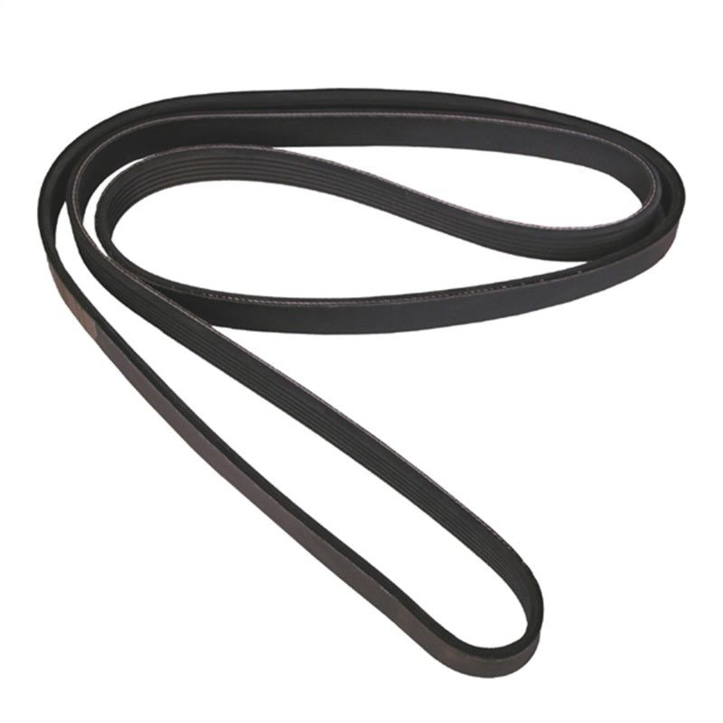 OMIX 17111.21 - OMI17111.21 - Omix Serpentine Belt 4.0L 00-06 Jeep Wrangler TJ Without AC - Shipped in Europe - Tuningsupply.com