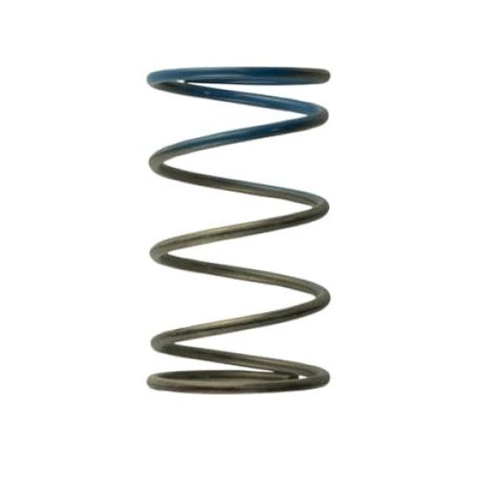 Turbosmart TS-0505-2005 - TURTS-0505-2005 - Turbosmart WG40 10PSI Outer Spring Brown/Blue - Shipped in Europe - Tuningsupply.com