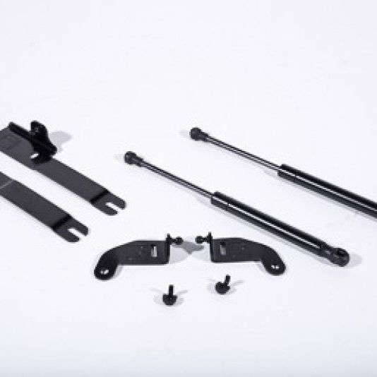 Roush 422043 - RSH422043 - Roush 2015-2023 Ford Mustang Hood Strut (w/o Active Hood Safety) - Shipped in Europe - Tuningsupply.com