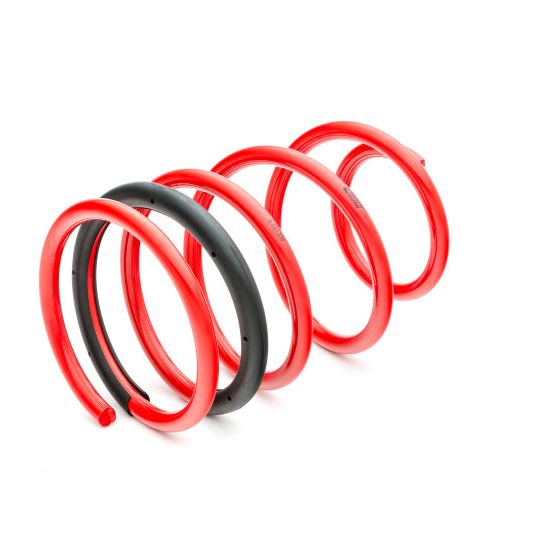 Eibach 4.10135 - EIB4.10135 - Eibach Sportline Kit for 05-07 Mustang S197 V8 - Shipped in Europe - Tuningsupply.com