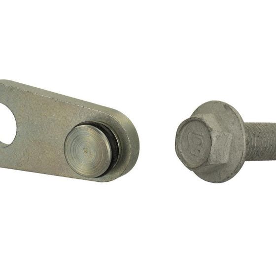 Ford Racing M-6026-23BSBP - FRPM-6026-23BSBP - Ford Racing Mustang 2.0L/2.3L EcoBoost Balance Shaft Block-Off Plug - Shipped in Europe - Tuningsupply.com