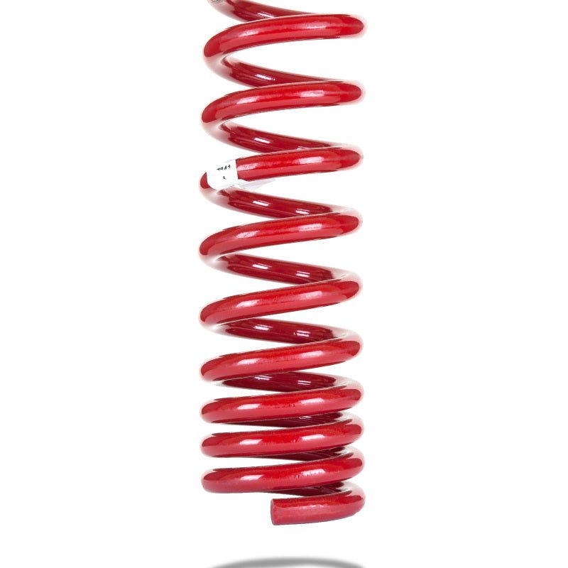 Pedders PED-7841 - PEDPED-7841 - Pedders 05-2012 Chrysler LX Heavy Duty Rear Coil Spring - Shipped in Europe - Tuningsupply.com