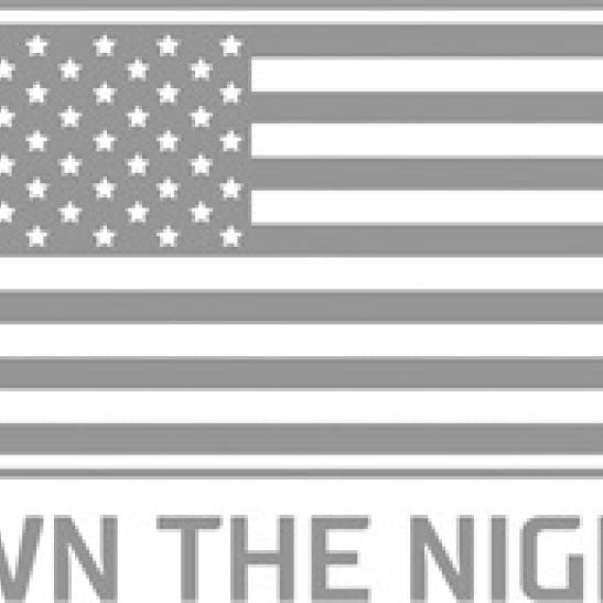 Rigid Industries 46732 - RIG46732 - Rigid Industries 20-22 Ford Super Duty Bumper Bar Mount - Shipped in Europe - Tuningsupply.com