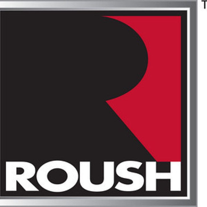 Roush 402099 - RSH402099 - Roush 2005-2009 Ford Mustang 4.6L V8 Cold Air Intake Kit - Shipped in Europe - Tuningsupply.com