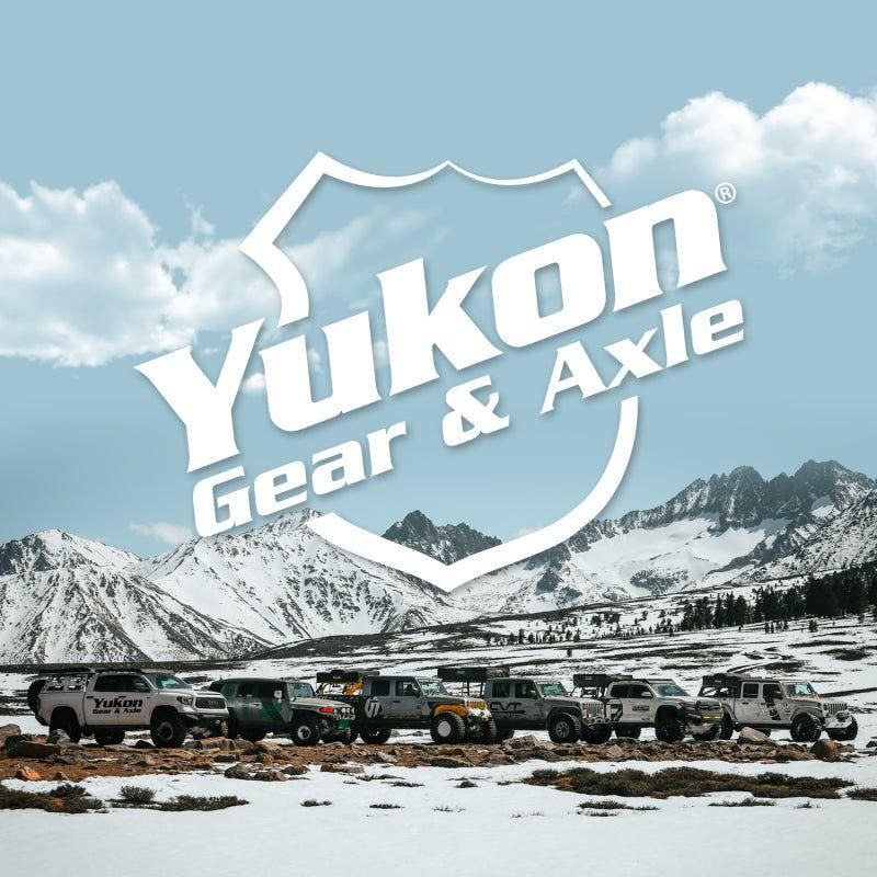 Yukon Gear & Axle YK D80-A - YUKYK D80-A - Yukon Gear Master Overhaul Kit For Dana 80 Diff (4.125 in OD Only) - Shipped in Europe - Tuningsupply.com