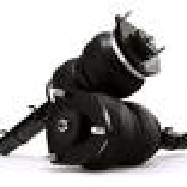 Air Lift 75518 - ALF75518 - Air Lift Performance 98-06 Audi TT / 02-04 VW Golf/GTI/Jetta Slam Front Kit - Shipped in Europe - Tuningsupply.com