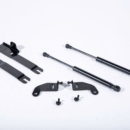 Roush 422043 - RSH422043 - Roush 2015-2023 Ford Mustang Hood Strut (w/o Active Hood Safety) - Shipped in Europe - Tuningsupply.com