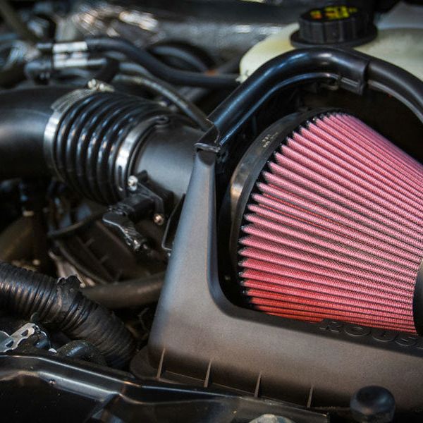 Roush 421238 - RSH421238 - Roush 2011-2014 Ford F-150 5.0L Cold Air Kit - Shipped in Europe - Tuningsupply.com
