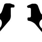 EBC DP61697 - EBCDP61697 - EBC 11 Ford F150 3.5 Twin Turbo (2WD) 6 Lug Greenstuff Rear Brake Pads - Shipped in Europe - Tuningsupply.com