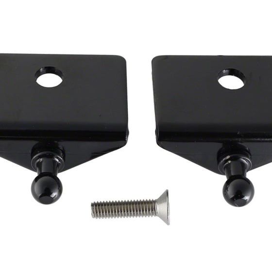 Ford Racing M-16826-M - FRPM-16826-M - Ford Racing 05-14 Mustang Hood Lift Kit w/ Laser Engraved Ford Performance Logo - Shipped in Europe - Tuningsupply.com