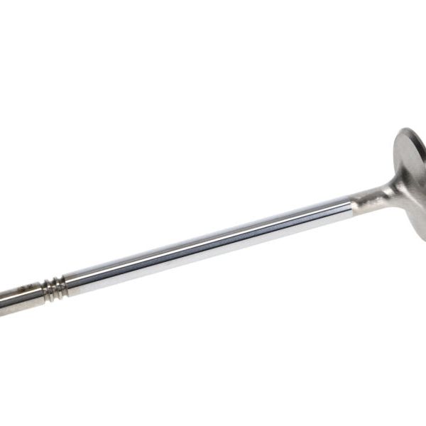 Manley Performance 11616-8 - MAN11616-8 - Manley Ford 4.6L DOHC (4 Valve) Triple Groove 37mm Race Master Intake Valves - Shipped in Europe - Tuningsupply.com