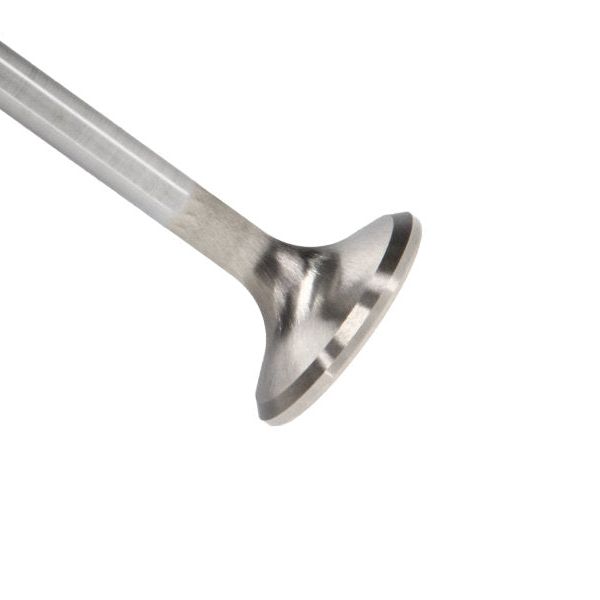 Manley Performance 11101-8 - MAN11101-8 - Manley 90-99 Mazda Miata 1.8L (BP056) DOHC 16 Exhaust 28mm Stainless Race Master Valves - Shipped in Europe - Tuningsupply.com