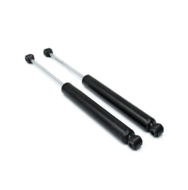 Shocks and Struts