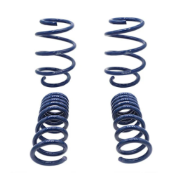 Lowering Springs