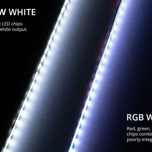 Diode Dynamics RGBW Multicolor Underglow LED Kit-tuningsupply.com