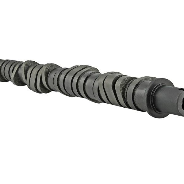 Skunk2 Tuner Series D-Series Honda Stage 2 Camshaft-Camshafts-Skunk2 Racing-SKK305-05-0050-SMINKpower Performance Parts