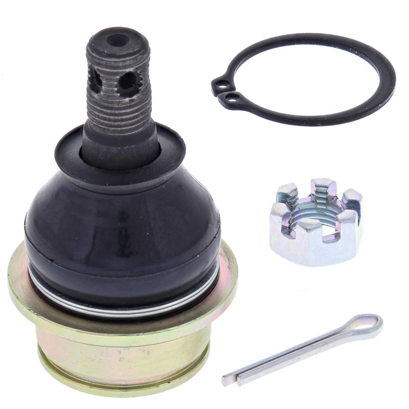 
    

All Balls Racing 42-1033 - ABR42-1033 - All Balls Racing 03-13 Kawasaki KVF360A Prairie 4x4 Ball Joint Kit Lower - Shipped in Europe - Tuningsupply.com

  