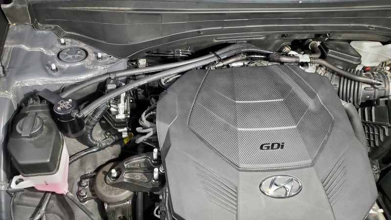 

J&L 3114P-B - JLT3114P-B - J&L 20-25 Hyundai Palisade / Kia Telluride 3.8L Oil Separator 3.0 Passenger Side - Black Anodize - Shipped in Europe - Tuningsupply.com
