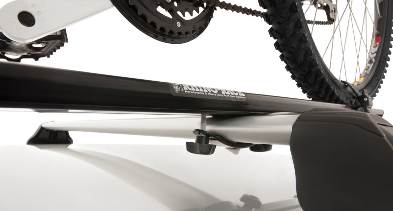 
  

Rhino-Rack RBC036 - RHRRBC036 - Rhino-Rack Road Warrior Bike Carrier (C-Channel) - Shipped in Europe - Tuningsupply.com

