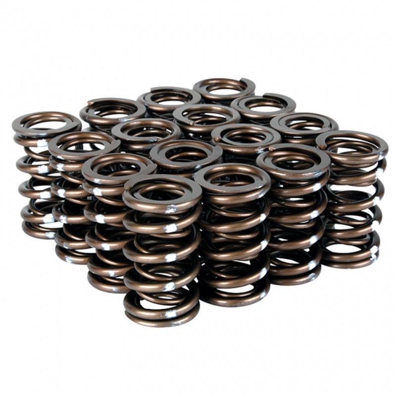 Skunk2 Pro Series Honda/Acura B-Series VTEC XP Valve Spring Set (Dual Springs)-Valve Springs, Retainers-Skunk2 Racing-SKK311-05-7350-SMINKpower Performance Parts