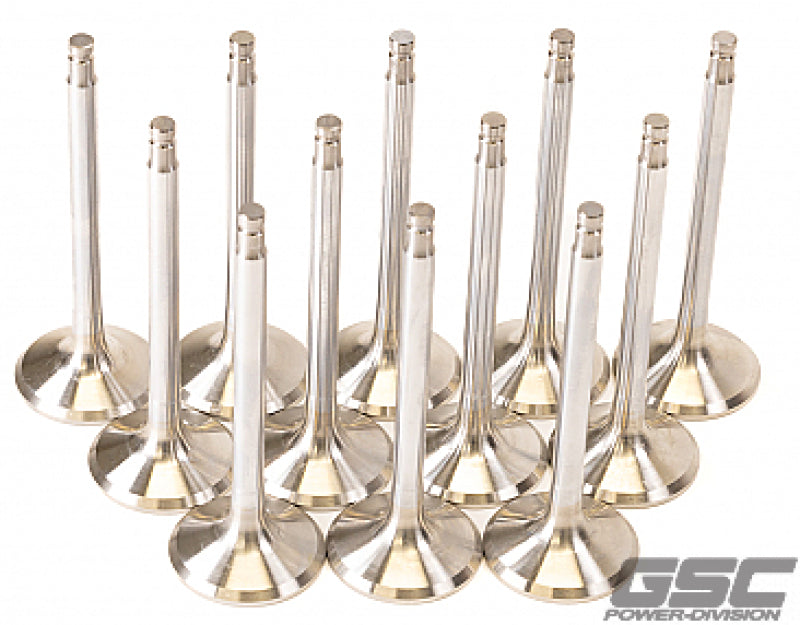
  

GSC Power Division 2057-12 - GSC2057-12 - GSC P-D Nissan VR38DETT 33.15mm Head +1mm OS 91.95mm Long 6.6mm Stem Exhaust Valve - Set of 12 - Shipped in Europe - Tuningsupply.com

