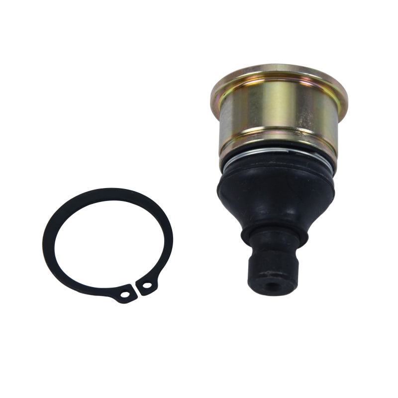 

All Balls Racing 42-1061 - ABR42-1061 - All Balls Racing 16-22 CF-Moto C Force 400 AU Ball Joint Kit Lower - Shipped in Europe - Tuningsupply.com
