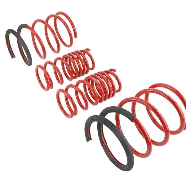 Skunk2 02-04 Acura RSX Lowering Springs (2.25in - 2.00in.) (Set of 4)-Lowering Springs-Skunk2 Racing-SKK519-05-1670-SMINKpower Performance Parts