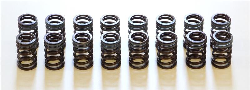 

HKS 22001-AN002 - HKS22001-AN002 - HKS 91-00 Infiniti G20 SR20DET Outer Valve Spring Set - Shipped in Europe - Tuningsupply.com
