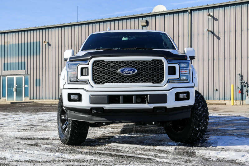 

EGR 303475 - EGR303475 - EGR 15+ Ford F150 Superguard Hood Shield - Matte (303475) - Shipped in Europe - Tuningsupply.com
