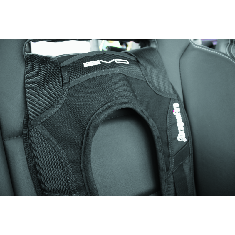 DragonFire Racing Harness Evo- Black-tuningsupply.com