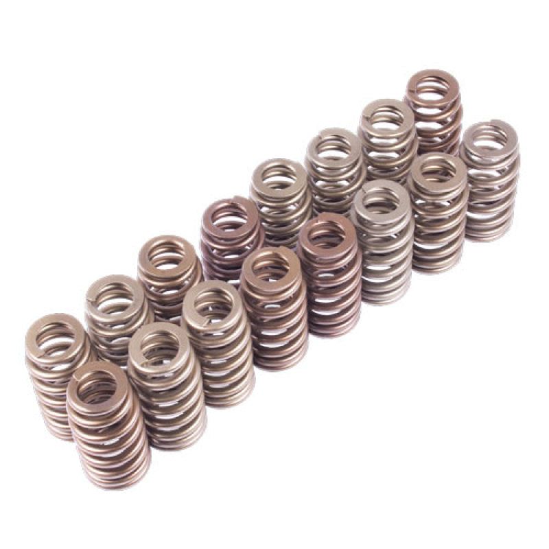 Ford Racing BOSS 302R Valve Spring Kit-tuningsupply.com