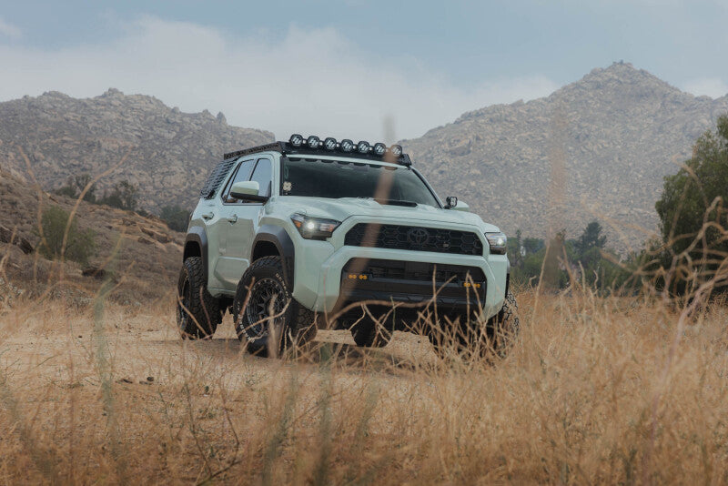 

DV8 Offroad RRTF3-02EMP - DVERRTF3-02EMP - DV8 Offroad 25-26 Toyota 4Runner Exterior Window Molles (Use w/ PN dveRRTF3-02) - Passenger - Shipped in Europe - Tuningsupply.com
