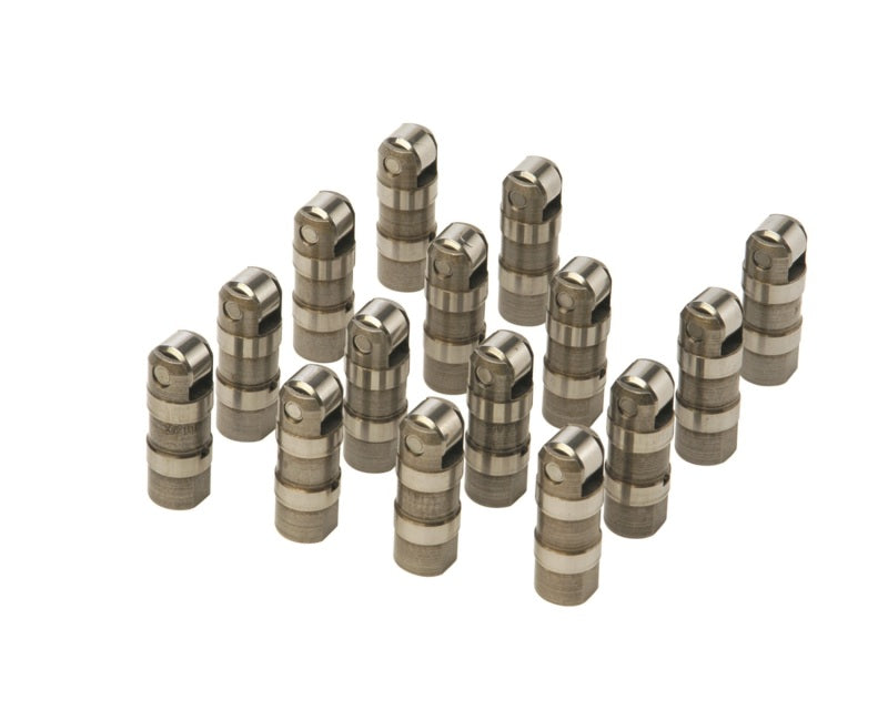 

Ford Racing M-6500-R302 - FRPM-6500-R302 - Ford Racing 302/351W Hydraulic Roller Cam Lifters (Set of 16) - Shipped in Europe - Tuningsupply.com

