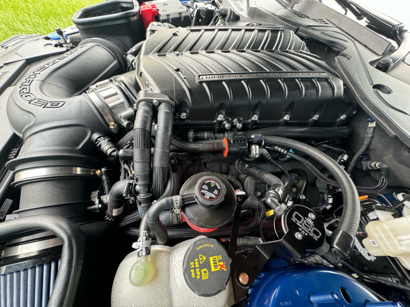 
  

J&L 3092D-B - JLT3092D-B - J&L 24+ Ford Mustang 5.0L (w/ Whipple Supercharger) Oil Separator - 3.0 CCV Side Black Anodized - Shipped in Europe - Tuningsupply.com

