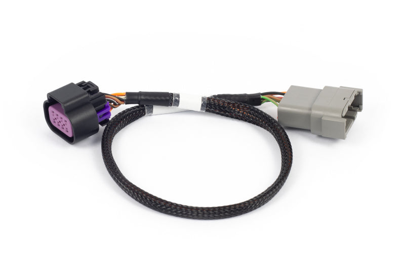 
  

Haltech HT-186506 - HALHT-186506 - Haltech NEXUS Rebel LS 8-Pin DBW Adaptor - Shipped in Europe - Tuningsupply.com

