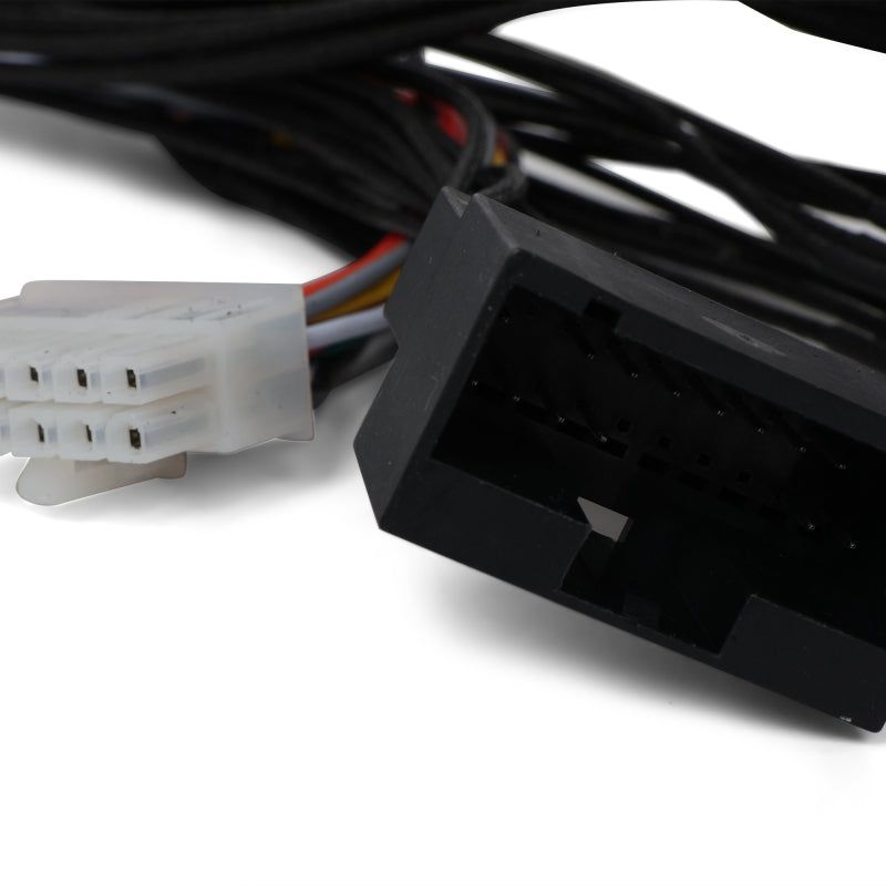 BLOX Racing Honda OBD0 - OBD1 ECU Jumper Harness-tuningsupply.com