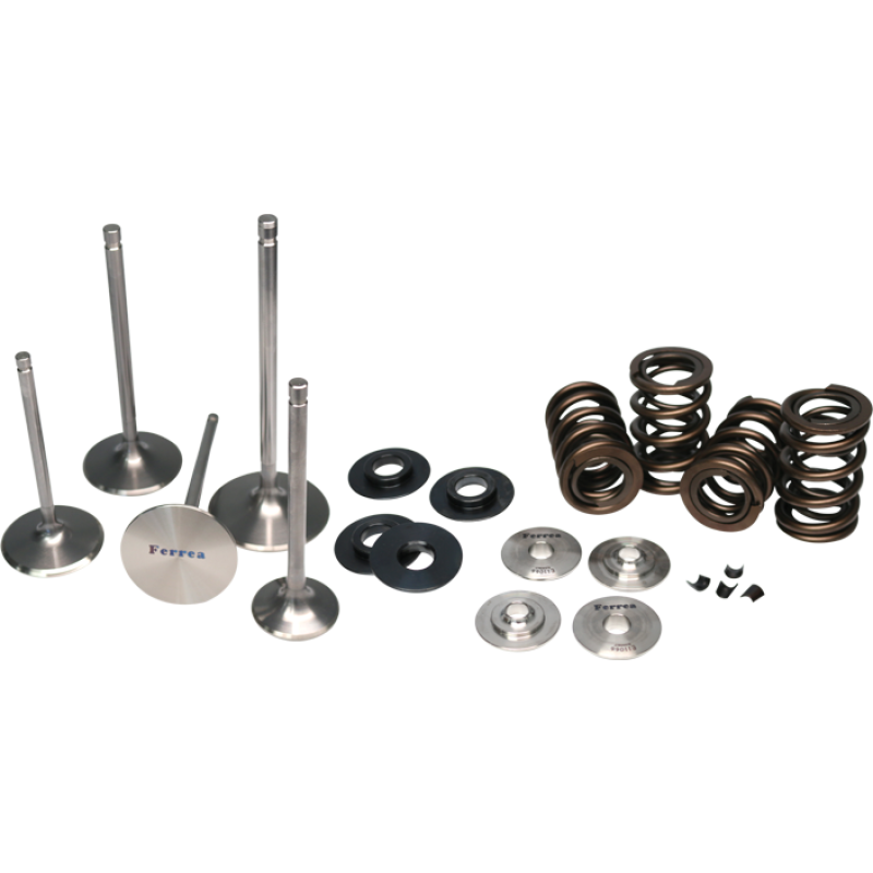 Ferrea Acura K20 Endurance Dual Spring Kit-tuningsupply.com