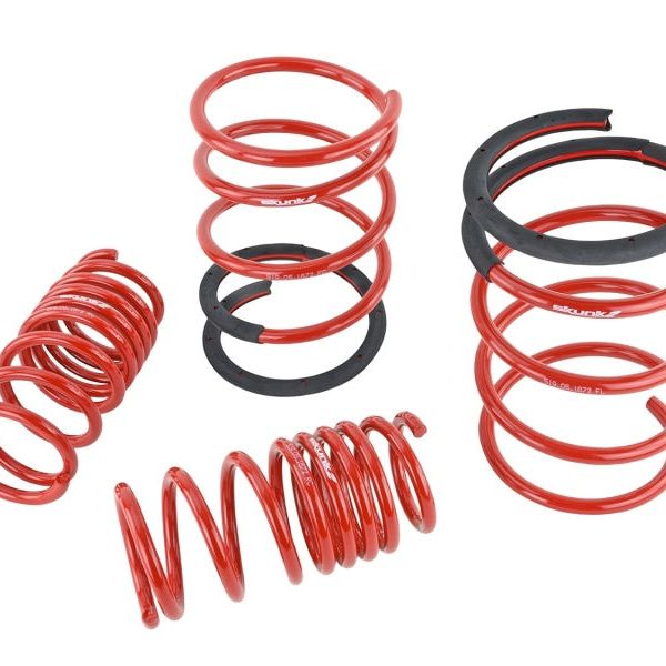 Skunk2 05-06 Acura RSX Lowering Springs (2.25in - 2.00in.) (Set of 4)-Lowering Springs-Skunk2 Racing-SKK519-05-1672-SMINKpower Performance Parts