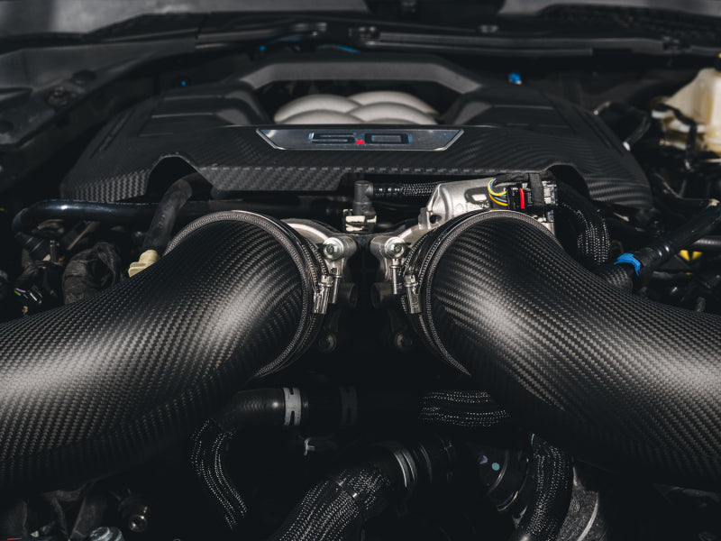 

AWE Tuning 2660-15650 - AWE2660-15650 - AWE Tuning 24-26 Ford S650 Mustang GT/Dark Horse S-FLO Carbon Intake - Shipped in Europe - Tuningsupply.com
