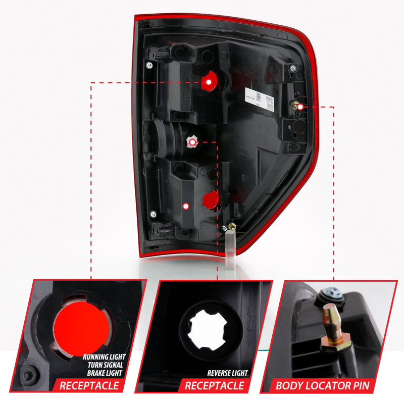 

ANZO 311299 - ANZ311299 - ANZO 2009-2014 Ford F-150 Euro Taillight Red/Clear (W/O Bulb) - Shipped in Europe - Tuningsupply.com
