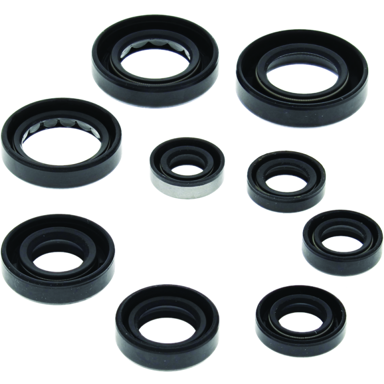 QuadBoss 81-83 Honda ATC200 Oil Seal Set-tuningsupply.com