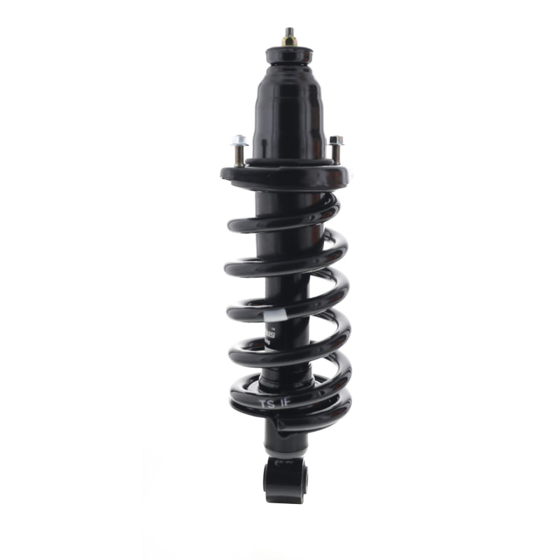 

KYB SR4605 - KYBSR4605 - KYB Shocks & Struts Strut Plus Right Rear 03-11 Honda Element - Shipped in Europe - Tuningsupply.com
