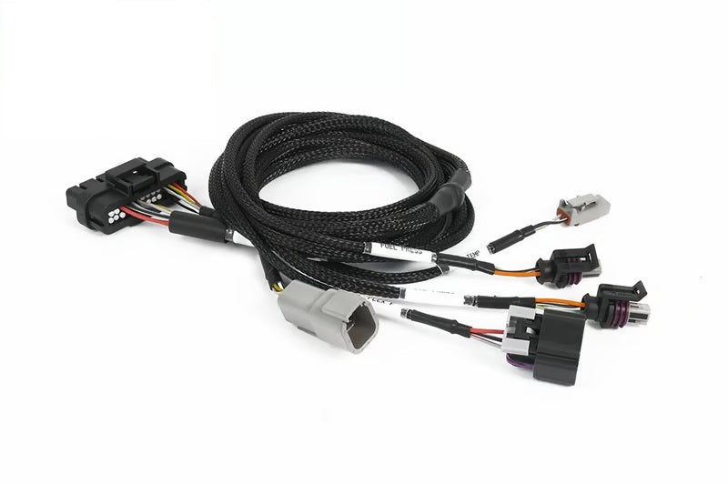
  

Haltech  - HALHT-189002 - Haltech NEXUS Universal Plug-in IO Expansion Harness - 2.5m (8ft) - Shipped in Europe - Tuningsupply.com

