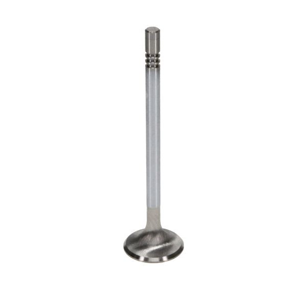 Manley Ford Coyote 5.0L DOHC 4 Valve 31mm Triple Groove Race Master Exhaust Valves (Set of 8)-tuningsupply.com