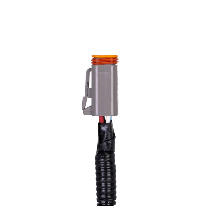 
    

SPAL SBL-TS-HARN-PKG - SPLSBL-TS-HARN-PKG - SPAL Jumper Harness for Brushless Fans - Shipped in Europe - Tuningsupply.com

  