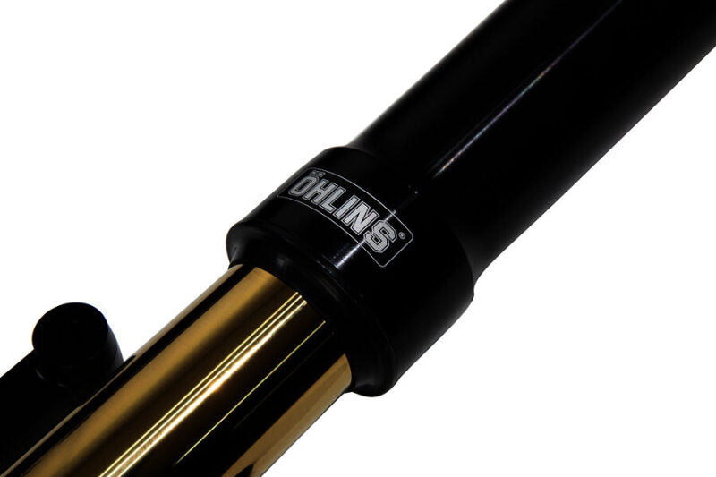

Ohlins FGRT 307 - OHLFGRT 307 - Ohlins 23-25 Harley-Davidson American V-Twin 48mm Blackline Front Fork - Shipped in Europe - Tuningsupply.com
