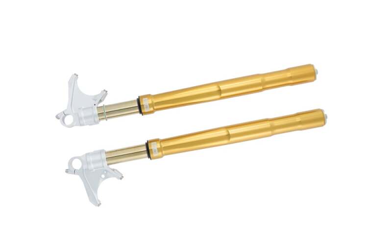 

Ohlins FGRT 231 - OHLFGRT 231 - Ohlins 14-15 Ducati 899 Panigale FGRT 200 Fork - Shipped in Europe - Tuningsupply.com
