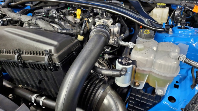 
    

J&L 3095D-C - JLT3095D-C - J&L 24-26 Ford Mustang EcoBoost Driver Side Oil Separator 3.0 - Clear Anodized - Shipped in Europe - Tuningsupply.com

  